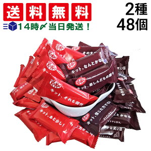 y  z lX LbgJbg 2 e24 v48 lߍ킹 A\[g Zbg ܂Ƃߔ i IWi Igi̊Â j