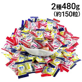 【 送料無料 】 カバヤ 塩分チャージ タブレッツ 詰め合わせ 大容量 アソート セット 2種 計480g ( スポーツドリンク 梅 )