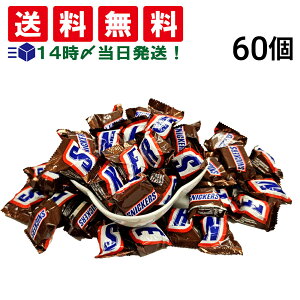 y  z XjbJ[Y ~j`A 60 ܂Ƃߔ