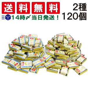 【 送料無料 】 スイスデリス ミルク エキストラダーク チョコレート 2種 各60個 計120個 詰め合わせ アソート セット まとめ買い