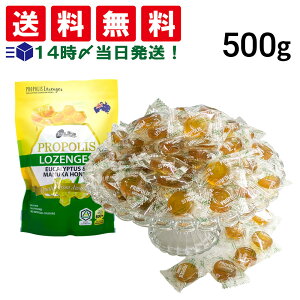 y  z True Blue v|X [J}kJnj[ MGO 600+ ̂ǈ 500g Zbg