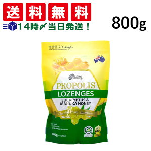 y  ŋz z True Blue v|X [J}kJnj[ MGO 600+ ̂ǈ 800g 1 Zbg