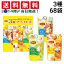 【 送料無料 】 リプトン 水出しアイスティー 詰め合わせ アソート セット 3種 計68袋 ( アールグレイ フルーツインティー グリーンティー ) まとめ買い