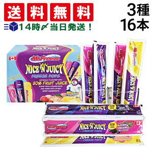 y  z ~X^[t[Y t[cW[X ACXLfB[ _ lߍ킹 A\[g Zbg 3 v16{ ܂Ƃߔ