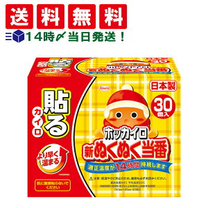【 送料無料 最強配送 】 興和 ホッカイロ 新ぬくぬく当番 貼るタイプ まとめ買い
