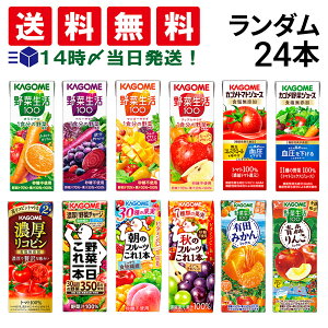 y  ŋz z JS ؐ100 t[cW[X pbN _ lߍ킹 A\[g Zbg 12 e2{ v24{ ܂Ƃߔ