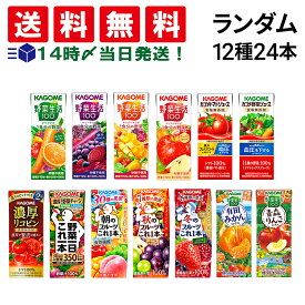 【 送料無料 最強配送 】 カゴメ 野菜生活100 フルーツジュース 紙パック 詰め合わせ アソート セット ランダム 12種 各2本 計24本 まとめ買い