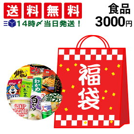 【 送料無料 】【 食品 お得 3000円 福袋 】 お楽しみ 詰め合わせ セット