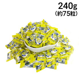 【 送料無料 】 カバヤ 塩分チャージ タブレッツ 塩レモン 大容量 240g まとめ買い