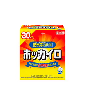【 送料無料 最強配送 】興和 ホッカイロ 貼らないタイプ レギュラーサイズ 30個入り まとめ買い 使用期限 2027年4月
