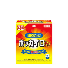 【 送料無料 最強配送 】興和 ホッカイロ 貼らないタイプ ミニサイズ 30個入り まとめ買い 使用期限 2027年4月
