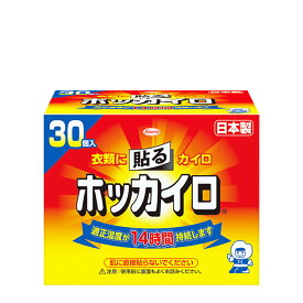 【 送料無料 最強配送 】興和 ホッカイロ 貼るタイプ レギュラーサイズ 30個入り まとめ買い 使用期限 2027年4月