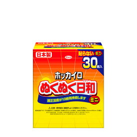 【 送料無料 最強配送 】興和 ホッカイロ ぬくぬく日和 貼らないタイプ ミニサイズ 30個入り まとめ買い 使用期限 2027年4月