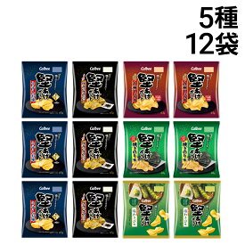 【 送料無料 最強配送 】 カルビー 堅あげポテト 5種 計12袋 食べ比べ 詰め合わせ アソート セット ( うすしお ブラックペッパー 焼きのり 九州しょうゆ 塩わさび）まとめ買い