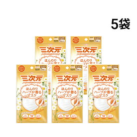 【 送料無料 】 興和 三次元 マスク 1種 5袋 メイクがおちにくいマスク ほんのりハーブが香るマスク 小さめ Sサイズ