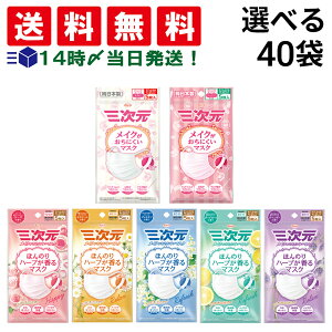 y  ŋz z a O }XN 4×e10 v40 CNɂ}XN ق̂n[u}XN  STCY