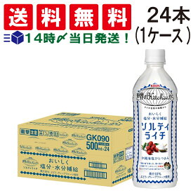 キリン 世界のKitchenから ソルティライチ 500ml PET ×24本