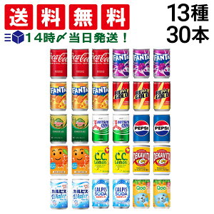 y  ŋz z Y_ ʃW[X ~j 160ml 13 A v30{ lߍ킹 A\[g Zbg ܂Ƃߔ