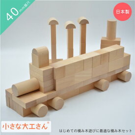 【送料無料】小さな大工さん 40-20 積み木遊びの基本的な形が入った積み木セット 40mm基尺