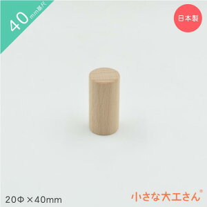 ȑH ςݖ 40mm 20×40mm Pii ~ 4cm 