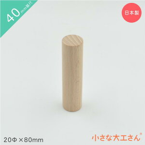 ȑH ςݖ 40mm 20×80mm Pii ~ 4cm 