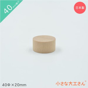 ȑH 40mm 40×20mm Pii ~ 4cm 