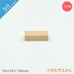 ȑH 50mm 50×25×100mm Pii ςݖ