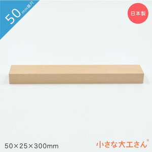 ȑH 50mm 50×25×300mm Pii ςݖ