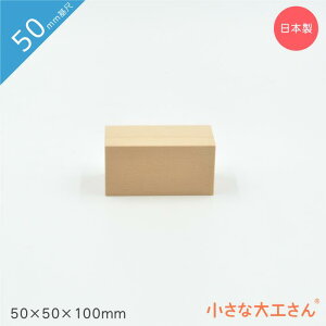 ȑH 50mm 50×50×100mm Pii ςݖ