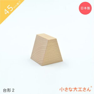 ȑH 45mm `2 Pii ςݖ A[`낤