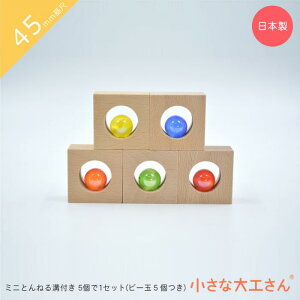 ȑH 45mm ~jƂ˂at5Zbg r[5 ςݖ Ώ۔N3Έȏ