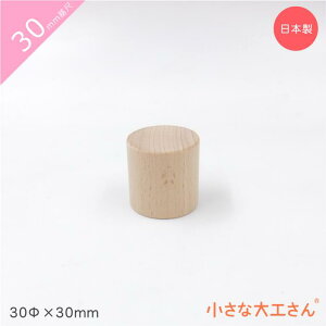 ȑH 30mm a30×30mm Pii ~ 3cm 