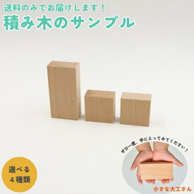 【送料のみでお試しいただけます】小さな大工さん 積み木のサンプル 選べる4種類(40mm基尺 45mm基尺 50mm基尺 比較セット)