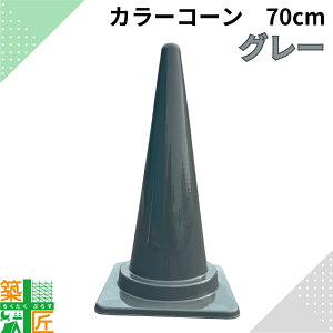 y05̕t |Cg3{zJ[R[ OpR[ O[ 70cm H700 DF 1 5 lF  킢 ƒp  Ԍ ԏ A[XJ[ VbN  Cxg X _  i