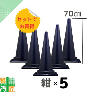 �J���[�R�[�� �O�p�R�[�� ����70cm �� �l�C�r�[ 5�{�Z�b�g H700 ������� �J���t�� �R�[�� ���킢�� �V�b�N ���� �C�x���g �X�� ���S �΍� �i�� �N���h�~ �i�ϕۑS �L�b�`���J�[ �t�F�X ���e�� 