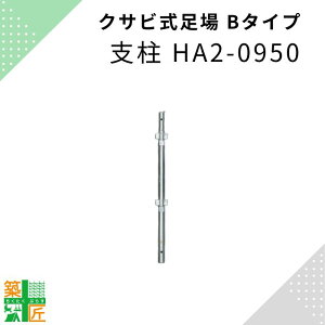  x HA2-0950 B^Cv NTr aZ r_[ At@