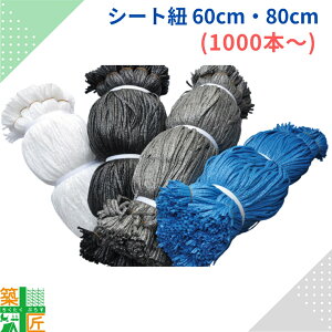 y12/1܂ |Cg3{zV[gR V[gЂ  gR 1,000{ 5,000{ 10,000{ 60cm 80cm bV V[g h h ubN  O[ DF u[  zCg  |G`  { 