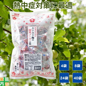 【お買い物マラソン ポイント4倍】【お得な大口セットあり】赤城フーズ 種とり 種なし カリカリ梅 業務用 あかぎ 210g 大容量 4袋〜 熱中症 対策 塩分補給 個包装 現場 工場 倉庫 ハイキング 野外 イベント 行楽