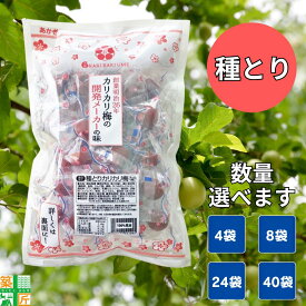 【楽天ランキング1位】【お得な大口セットあり】赤城フーズ 種とり 種なし カリカリ梅 業務用 あかぎ 210g 大容量 4袋〜 熱中症 対策 塩分補給 個包装 現場 工場 倉庫 ハイキング 野外 イベント 行楽