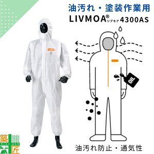 yʊzϖ ϐ sDz h앞  LIVMOA 4300AS ĝ ی앞 ƕ ѓdh~  h g؂ uA ʋC 