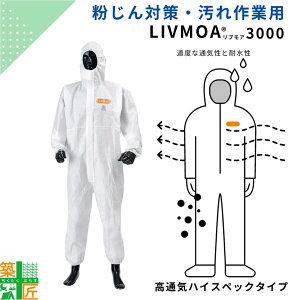 yʊzsDz h앞 ʋC nCXybN  LIVMOA3000 ĝ ی앞 ƕ ho ʋC  o  uA  g؂ ʋC