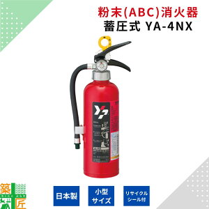 yX[p[SALE |Cg5{zy2025Nz Ί ~ YA-4NX  ΍ 1.2kg  ABC ƒp Ɩp }gvebN TCNV[t dC  ΍ Ή Z p Lb` }V
