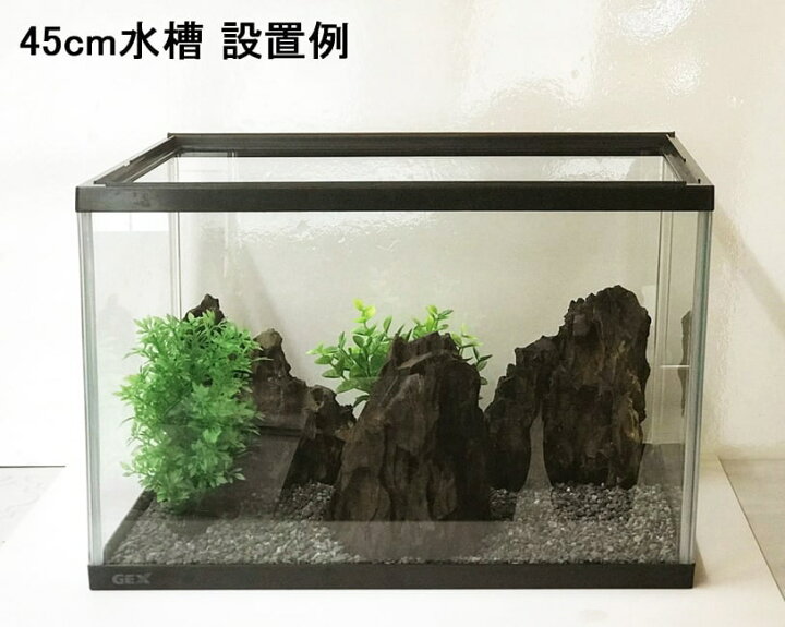 楽天市場 水槽用石 アクアリウム 水槽用 石 水槽 岩 気孔石 縦置き 約14 18cm 大サイズ 3個セット 水槽石 レイアウト 水槽岩 自然石 天然石 レイアウトストーン 大きい アクアリウム用品 アクアリウムストーン アクアリウムロック 石組み 装飾 45cm水槽向け 水槽 石