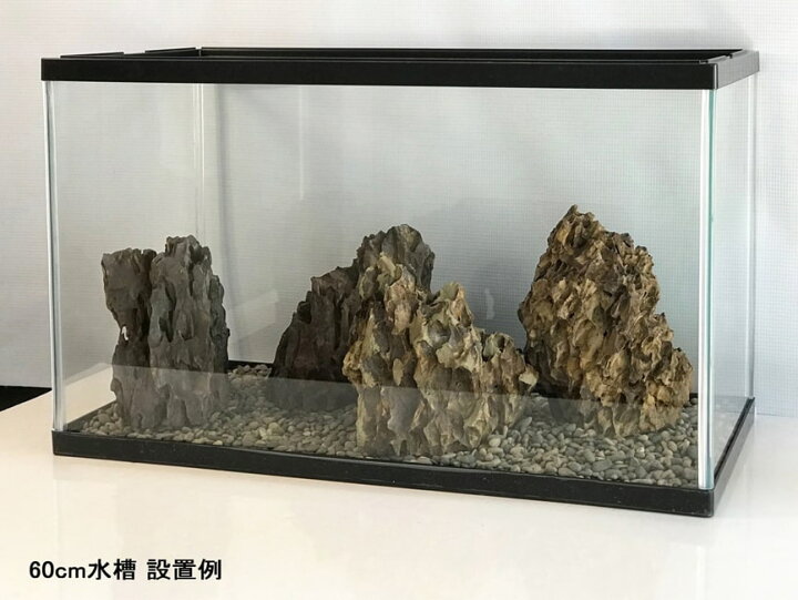 楽天市場 水槽用石 レイアウト 水槽 石 岩 気孔石 縦置き 約14 18cm 大サイズ 4個セット 水槽石 アクアリウム 水槽用 自然石 天然石 レイアウトストーン 石組み アクアリウム用品 大きい アクアリウムストーン アクアリウムロック 装飾 60cm水槽向け 水槽 石 アクア