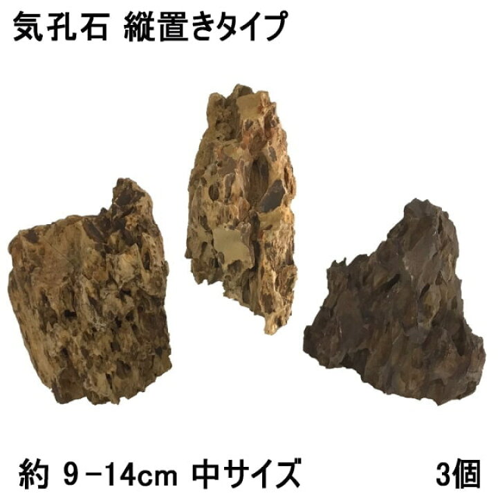 楽天市場 水槽用石 水槽石 岩 気孔石 縦置き 約12 14cm 中サイズ 3個 アクアリウム 水槽用 石 水槽 レイアウト 自然石 天然石 アクアリウムストーン レイアウトストーン 大きい 石組み アクアリウム用品 アクアリウムロック 装飾 45cm水槽向け 水槽 石 アクアショップ