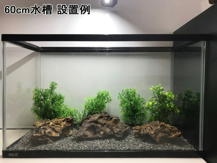 楽天市場 水槽用石 アクアリウム 水槽用 石 岩 気孔石 大中ミックス 3個セット 水槽石 レイアウト 自然石 天然石 水槽の石 アクアリウムストーン 水槽 レイアウトストーン 大きい 水槽内装 石組み アクアリウム用品 水槽岩 アクアリウムロック 装飾 60cm水槽向け 水槽 楽天市場 水槽用石 アクアリウム 水槽用 石 岩 気孔石 大中ミックス 3個セット 水槽石 レイアウト 自然石 天然石 水槽の石 アクアリウムストーン 水槽 レイアウトストーン 大きい 水槽内装 石組み アクアリウム用品 水槽岩 アクアリウムロック 装飾 60cm水槽向け 水槽