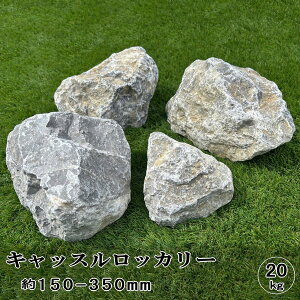 bNK[f   I LbXbJ[ 20kg 120-300mm   m R K[fjO K[fbN u  Ԓd hCK[f KrI  I ΍ S^