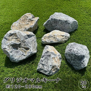 bNK[f   I OWI}L[i 20kg 120-280mm   R K[fjO K[fbN u  Ԓd hCK[f  I ΍ S^