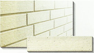 45l@XvOEH[@XNb`ʃubN@x[WF@^C@ڒܓ\p@V[gi12j̔łBOǁEǁiցEGgXE}VjDIYtH[