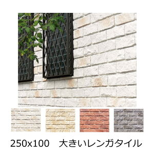 R[ Xg[ K^C O Ǘp ubN^C OǗp DIYtH[ C_XgA AeB[N  250x100@傫K